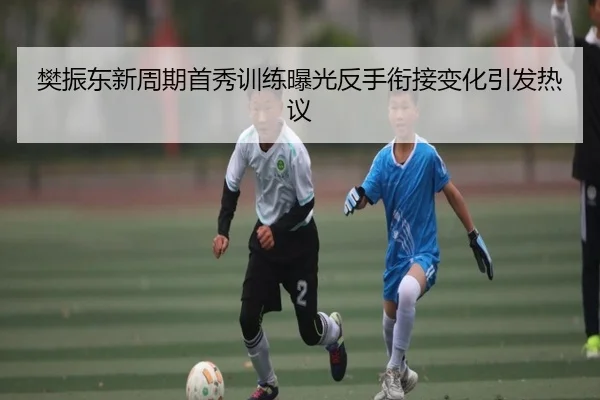 樊振东新周期首秀训练曝光反手衔接变化引发热议